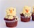 Bald Eagle Cupcakes (Ages 2-8 w/ Caregiver)